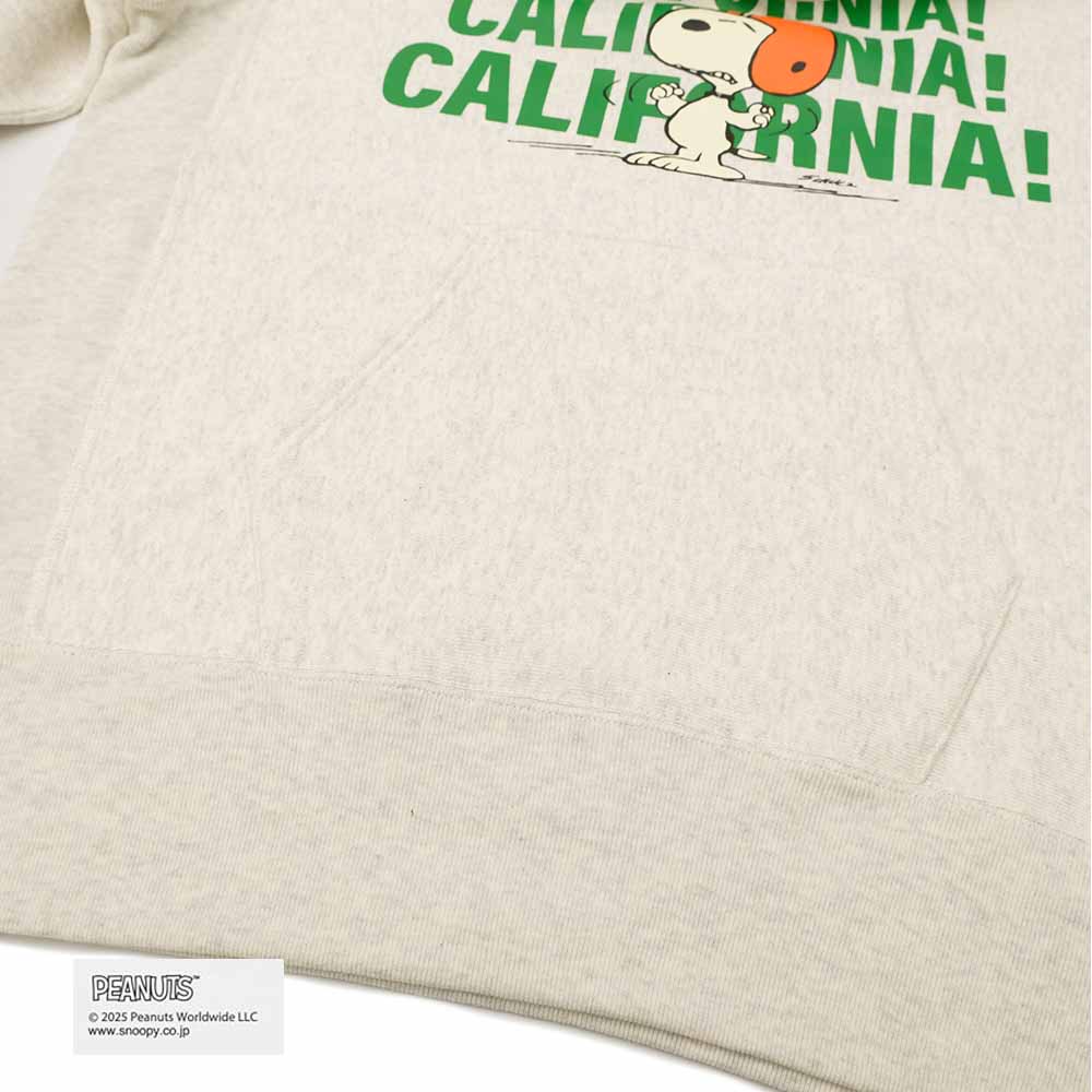 Champion - REVERSE WEAVE PULLOVER HOODED SWEATSHIRT - CALIFORNIA - C3-C130