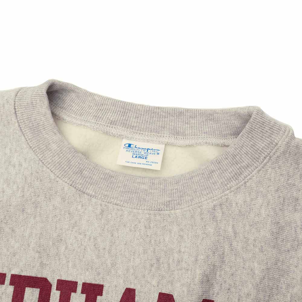 Champion - REVERSE WEAVE CREW NECK SWEATSHIRT PRINT - C3-C022