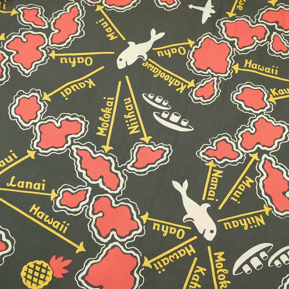 SUN SURF - COTTON BROAD OPEN SHIRT - ROUND TRIP - SS39505