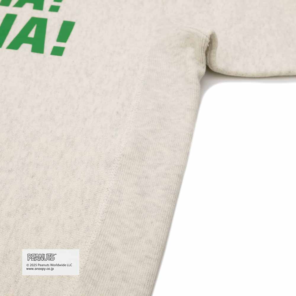 Champion - REVERSE WEAVE PULLOVER HOODED SWEATSHIRT - CALIFORNIA - C3-C130