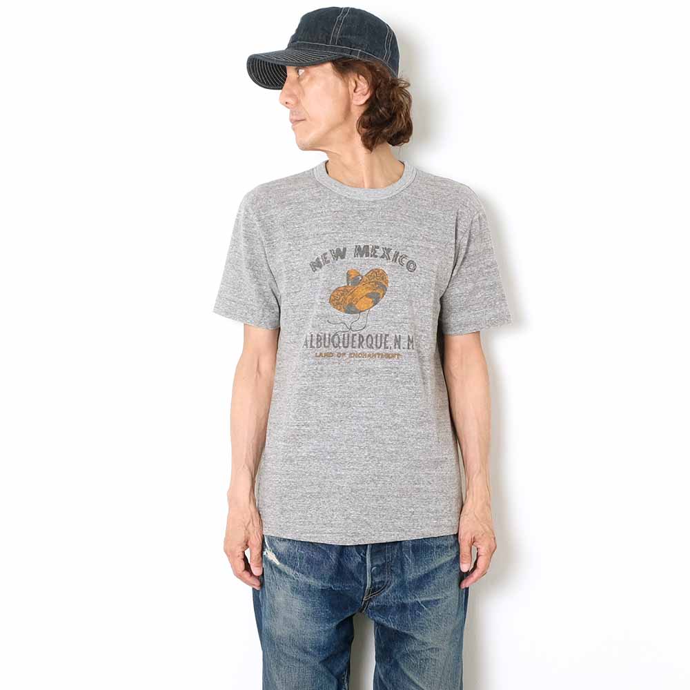 BARNS - S/S T-SHIRT - NEW MEXICO - BR-24170