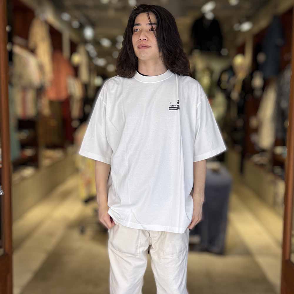 BARNS - 16/-BD LOOSE TUBE S/S T-SHIRT PIGMENT DYE - GRASS EATER - BR-25262