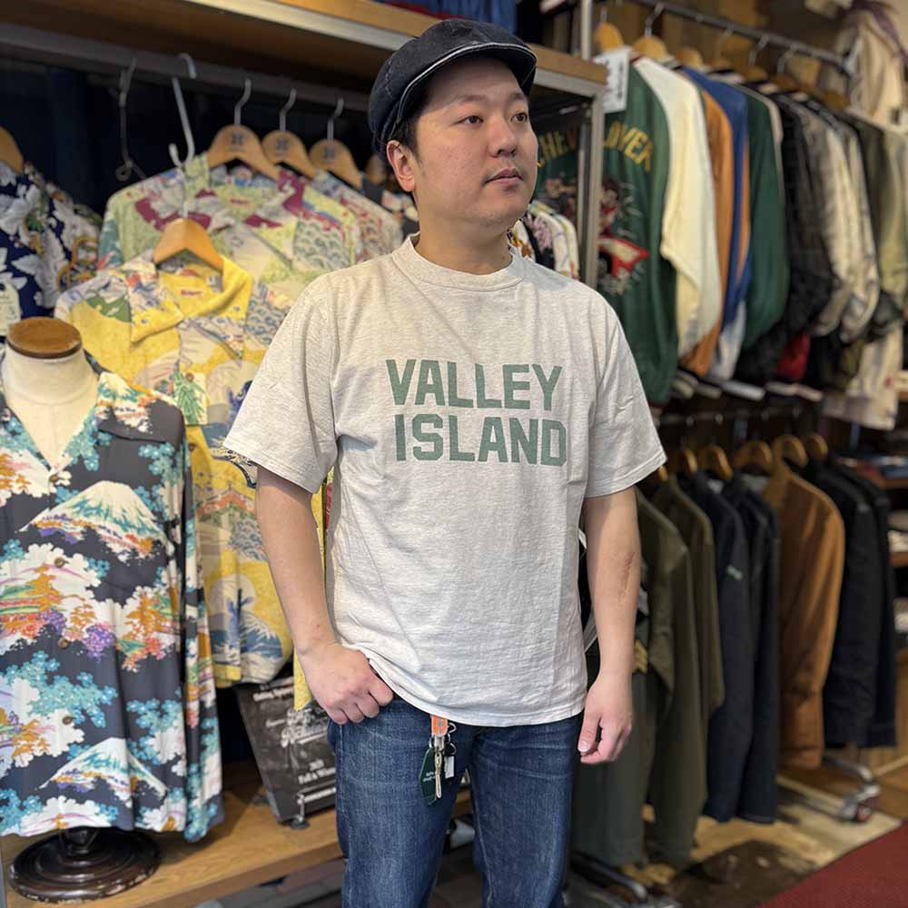 REMI RELIEF -  HARD SP Processing REGULAR S/S TEE - VALLEY ISLAND - RN30389138