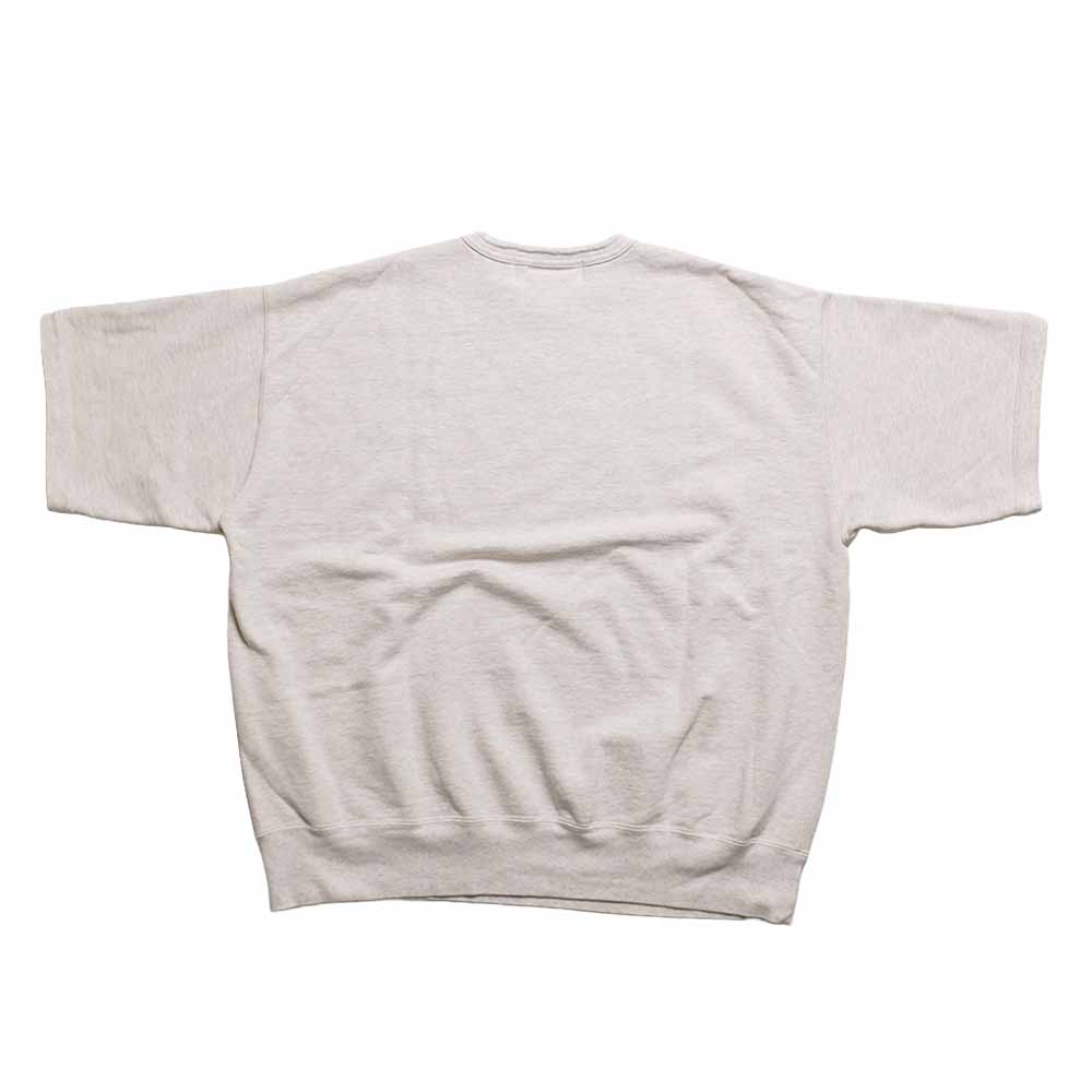 REMI RELIEF - SP Processing SS Crew - MICHIGAN - RN30389180