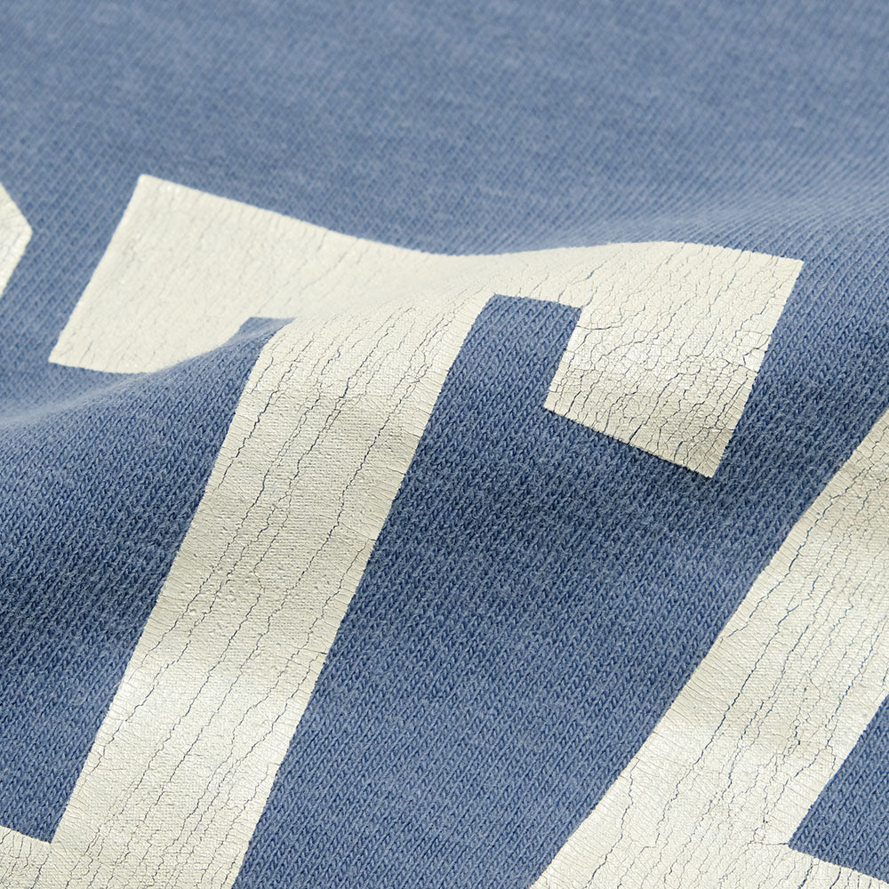 BARNS -Re:Producter S/S Print T-shirt - ILLINOIS - BR-25203