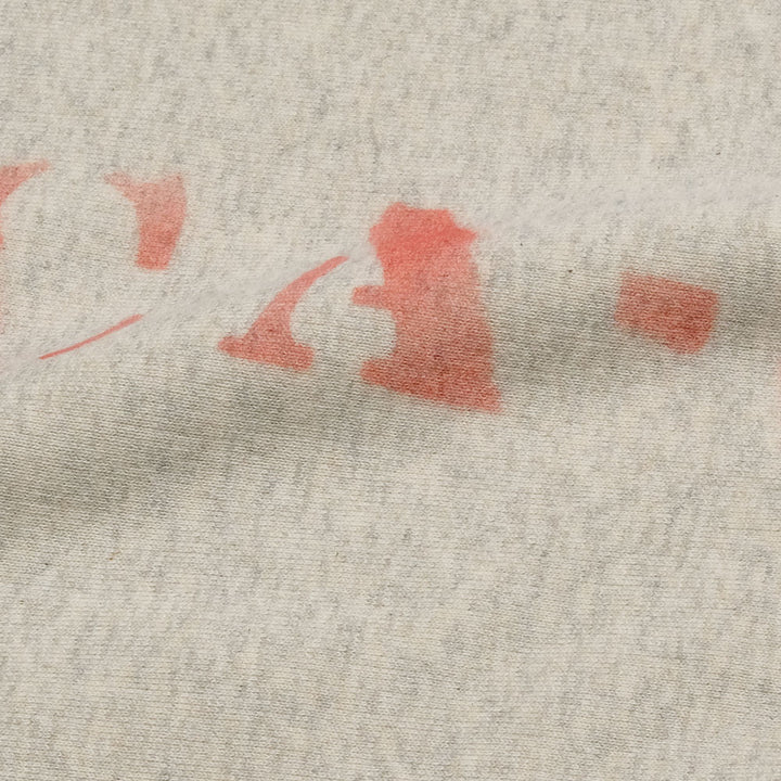 Champion - REVERS WEAVE - 2ND PATENT CREWNECK SWEATSHIRT - PRINT - C3-Y019